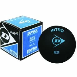 Dunlop Intro Blue Dot Squash Ball